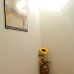 Ema Apartament *